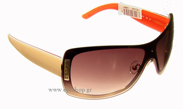 Sunglasses Ralph Lauren 4009 109/13