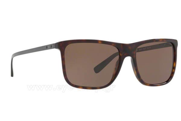 Sunglasses Ralph Lauren 8157 500373