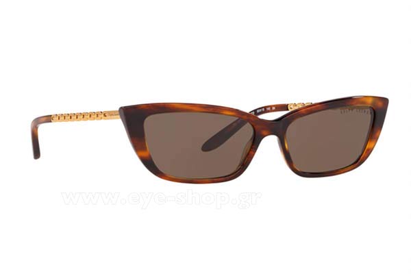 Sunglasses Ralph Lauren 8173 500773