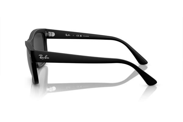 Rayban model 4428 color 601S48