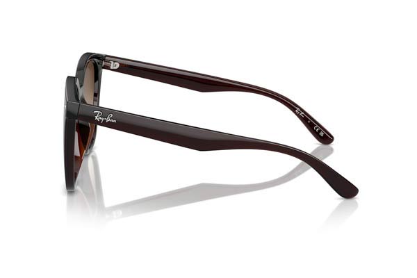 Rayban model 4423D color 714/13