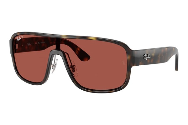 RAYBAN 2229 710-1B - sunglasses