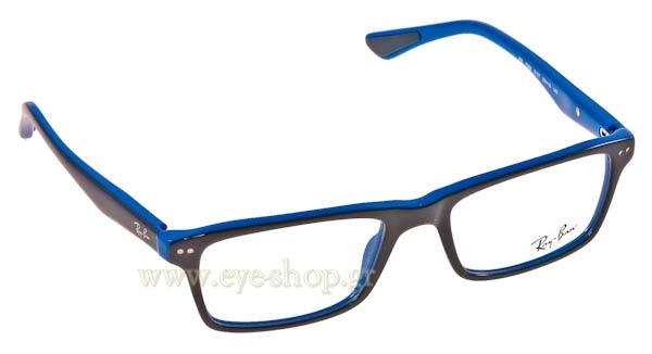 Rayban 5288 Eyewear 
