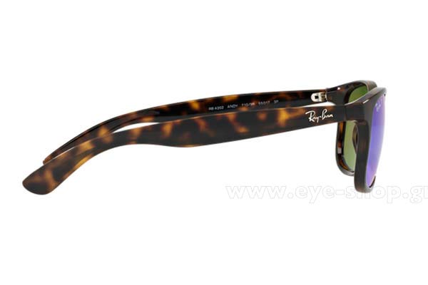 Rayban model ANDY 4202 color 710/9R Polarized