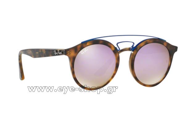 Sunglasses Rayban 4256 6266B0