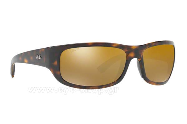 Sunglasses Rayban 4283CH 710/A3