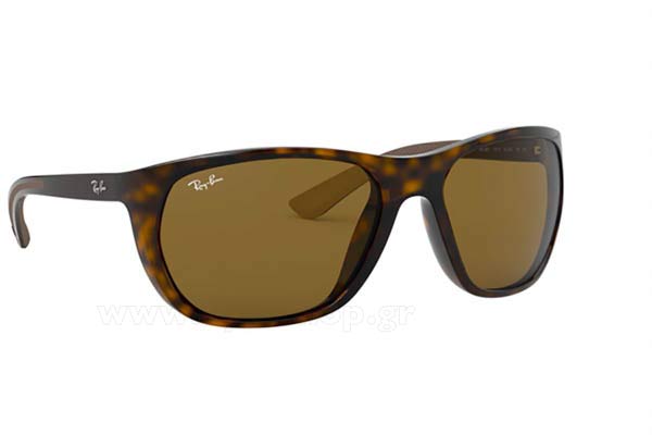 Sunglasses Rayban 4307 710/73