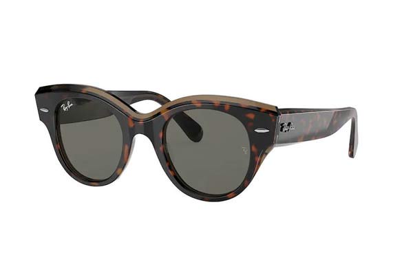 Rayban model 2192 ROUNDABOUT color 1292B1