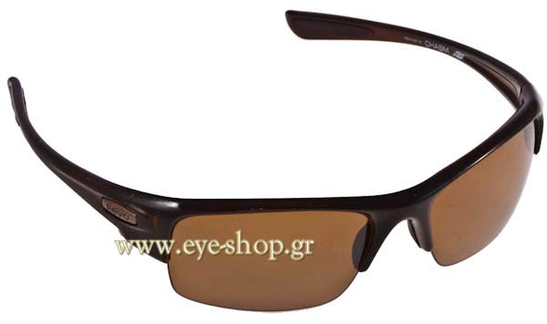 Sunglasses Revo 4046 Chasm 02 polarised