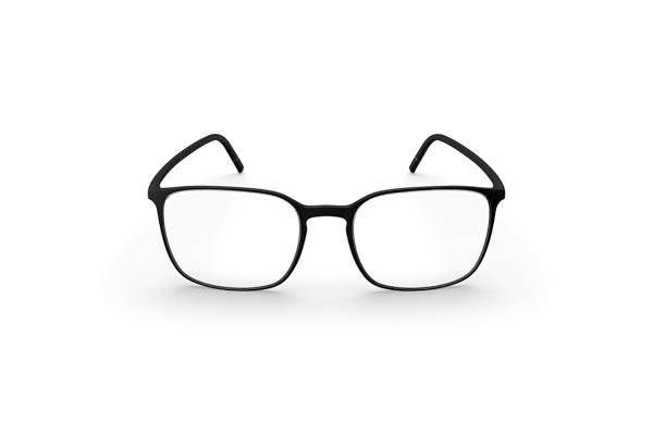 Eyeglasses Silhouette 2954 Pure Wave