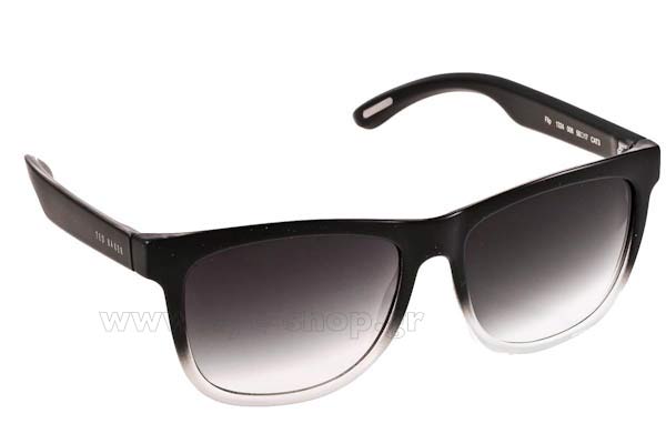 Sunglasses Ted Baker Flip 1324 008