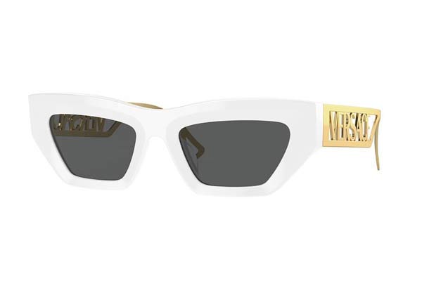 Sunglasses Versace 4432U 401/87