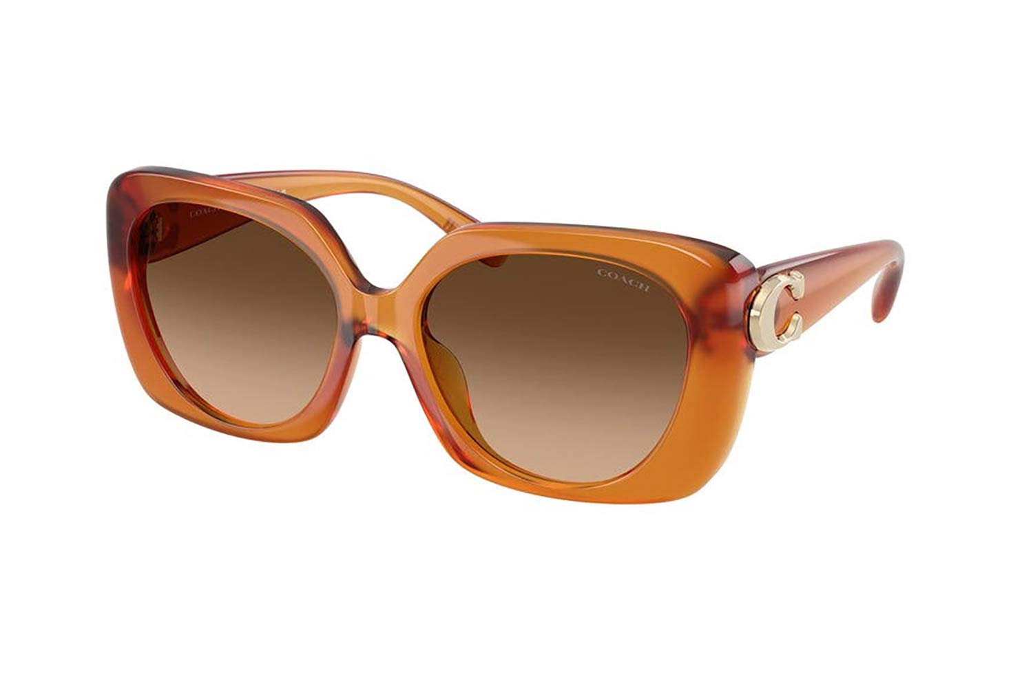 Coach 8422U-CAD33 564774 size 55 Sunglasses Price: 116,86