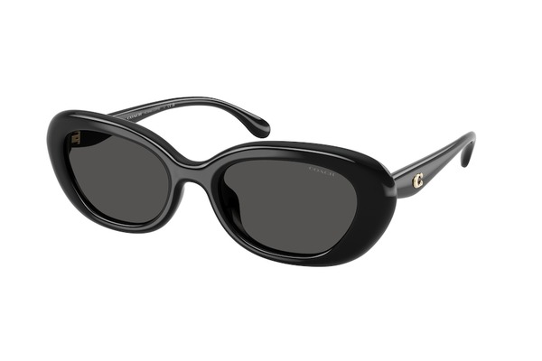 Coach 8448U-CDP35 500287 size 54 Sunglasses Price: 112,00