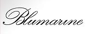 Sunglasses bluemarine Eye-Shop 