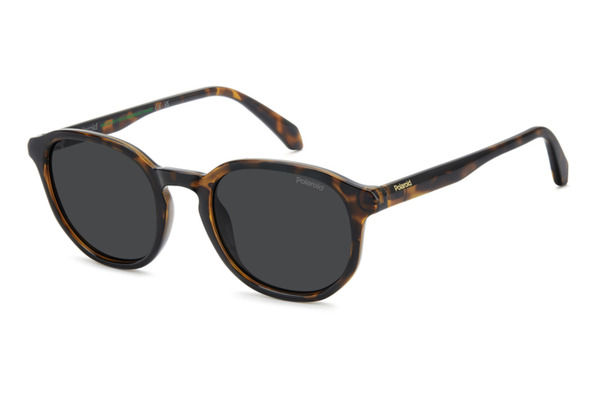 POLAROID PLD-4195S 086 M9 size 51 Sunglasses Price: 58,00