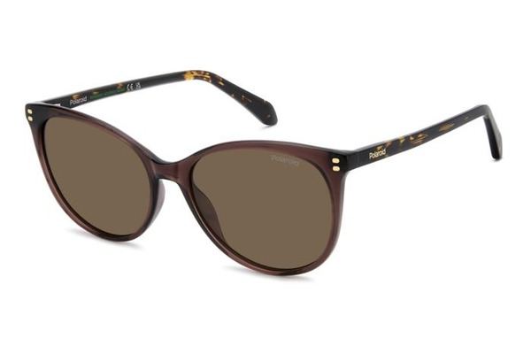 Polaroid PLD-4200SX 09Q SP size 56 Sunglasses Price: 88,00