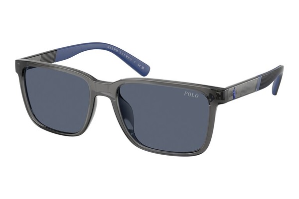 Polo-Ralph-Lauren 4189U 579987 size 55 Sunglasses Price: 115,00