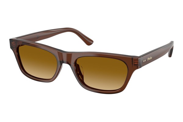 Polo-Ralph-Lauren 4238U 63532L size 53 Sunglasses Price: 115,00