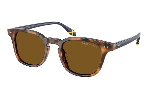 Polo-Ralph-Lauren 4251U 608983 size 50 Sunglasses Price: 162,00
