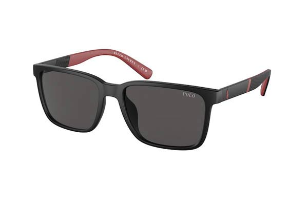 Polo-Ralph-Lauren 4189U 537587 size 55 Sunglasses Price: 98,92