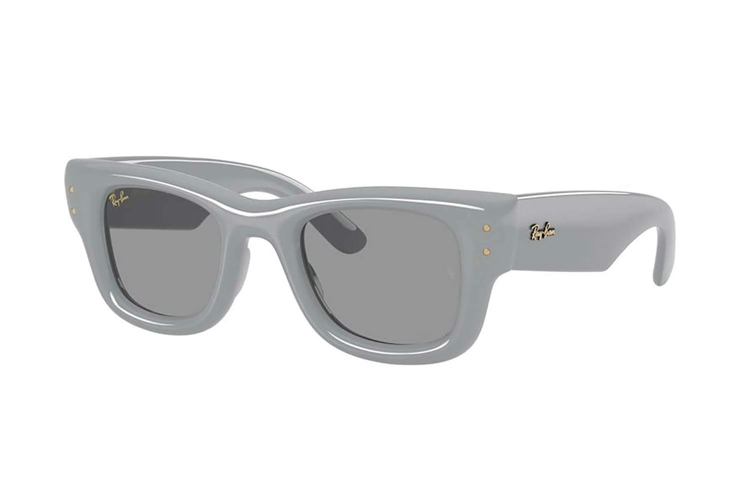 Rayban 4940-WAYFARER-PUFFER 6876-1 size 47 Sunglasses Price: 129,98