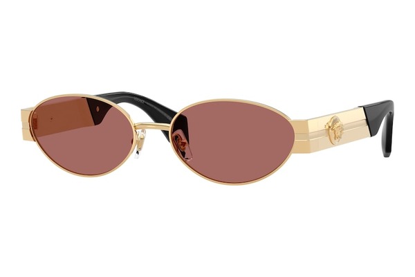 Versace 2301 152369 size 55 Sunglasses Price: 303,00