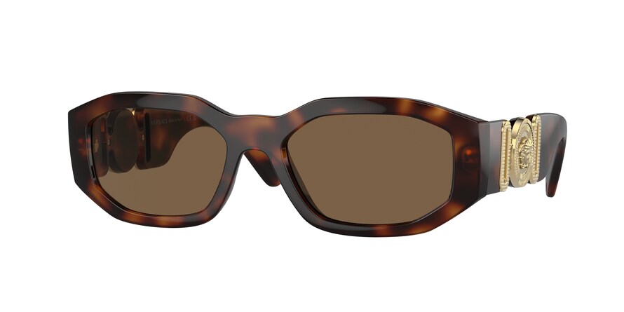 Versace 4361 521773 size 53 Sunglasses Price: 184,98