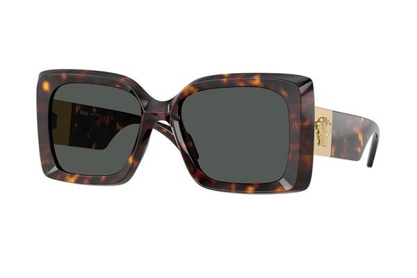 Versace 4467U 108/87 size 54 Sunglasses Price: 219,49