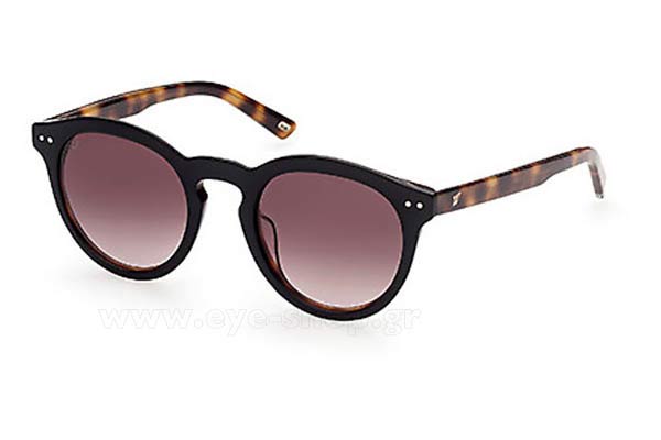 Web WE0307S 05K size 49 Sunglasses Price: 110,00