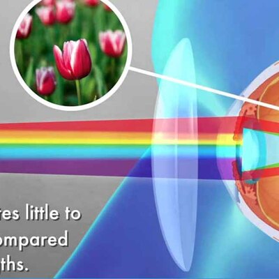 Lenses with blue light filter for led screens