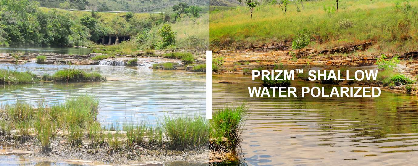 Prizm Shallow Water polarized, how you see