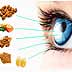 How our eyes benefit from Omega 3 fatty acids