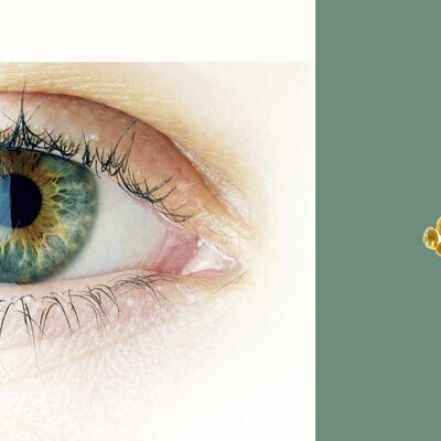 How our eyes benefit from Omega 3 fatty acids